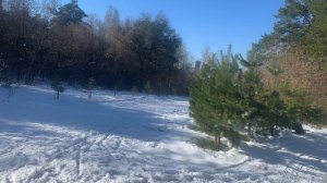 Энерго -информационный обмен и его влияние на наше развитие