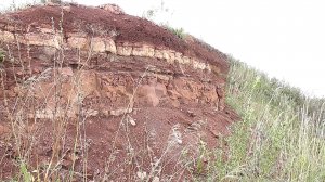Оренбургская область.Северный район.