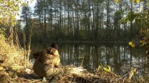 Оз. САВУШКИНО, РЫБА СОШЛА С УМА, ПЕРВОЕ УТРО, Часть 1