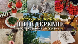 Медленная жизнь в деревне| Последние деньки лета| Мои увлечения, готовка, закрутки.