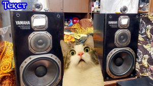 Как улучшить винтажные колонки до неимоверного уровня)