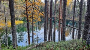 Параськины озера: Озеро Кауфмана. Карстовые озера Республики Коми.