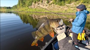 В ПОИСКАХ ТРОФЕЕВ | 1 ЧАСТЬ