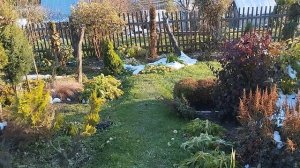 Дачный сезон 2025 год ,объявляю закрытым .