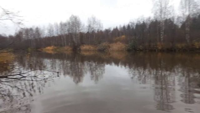 Осень,  пасмурно, похолодало