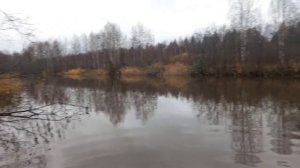 Осень, пасмурно, похолодало
