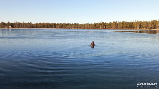Моржи Муравленко