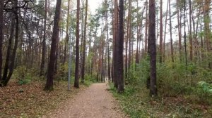 Осенняя велопрогулка по парку Маяковского Екатеринбург