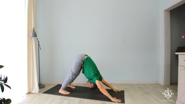 Сурья Намаскар (Приветствие Солнцу) 12 кругов