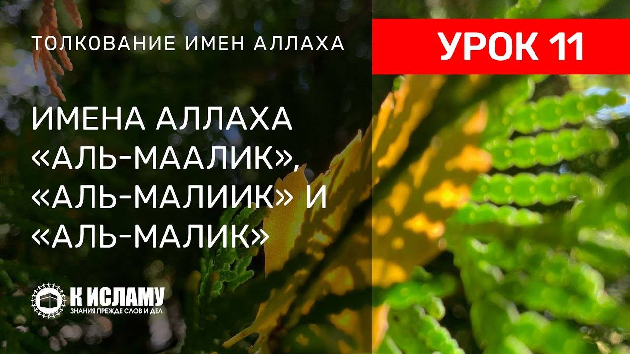 11) Имена Аллаха «аль-Ма́лик», «аль-Мали́к» и «аль-Малик» | Ринат Абу Мухаммад смотреть онлайн