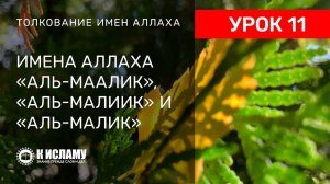 11) Имена Аллаха «аль-Ма́лик», «аль-Мали́к» и «аль-Малик» | Ринат Абу Мухаммад
