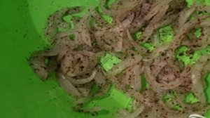 Салат из белой фасоли