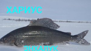 ЭНХАЛУК  БАЙКАЛ