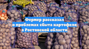 Фермер рассказал о проблемах сбыта картофеля в Ростовской области