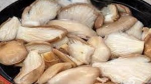 Салат с вешенками и фасолью