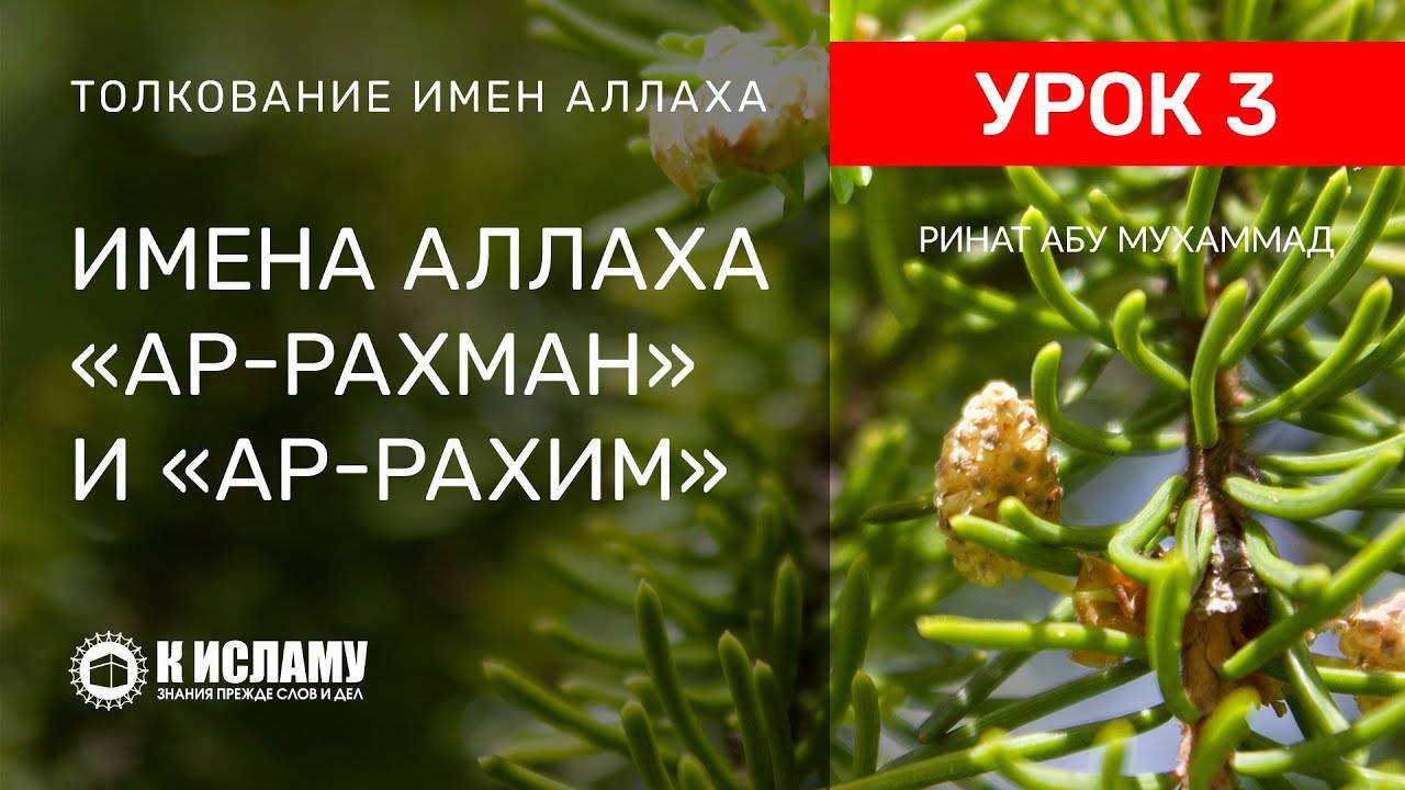 3) Имена Аллаха «ар-Рахман» и «ар-Рахим» Милостивый и Милующий | Ринат Абу Мухаммад смотреть онлайн