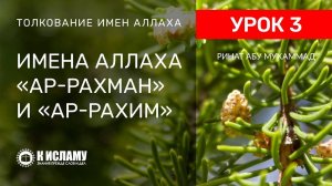 3) Имена Аллаха «ар-Рахман» и «ар-Рахим» Милостивый и Милующий | Ринат Абу Мухаммад