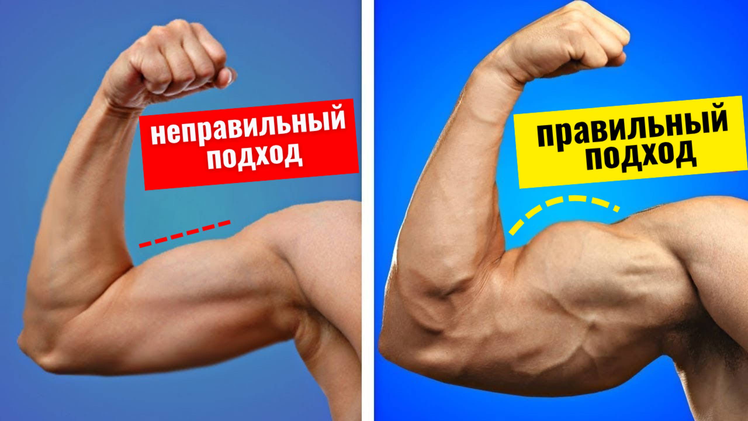 Руки не растут? 4 ошибки в тренировке бицепса и трицепса, которые тормозят прогресс