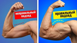 Руки не растут? 4 ошибки в тренировке бицепса и трицепса, которые тормозят прогресс