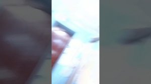 ремонт дома Лютька