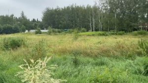 д. Лапино, К№ 50:20:0041112:1153