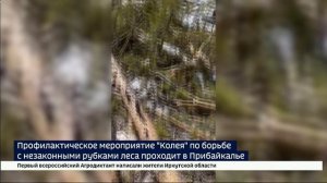 Профилактическое мероприятие «Колея» для борьбы с незаконными рубками леса проходит