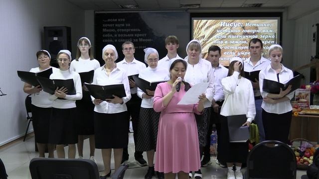 Стихи 