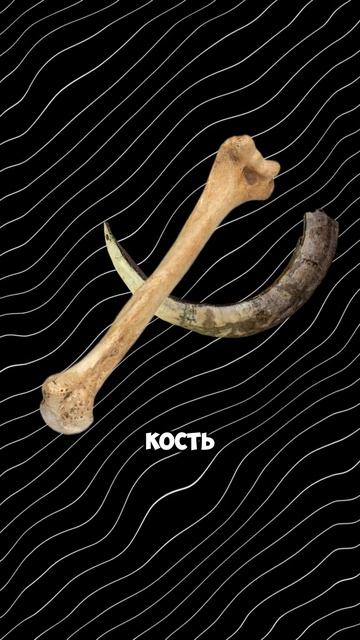 ВОЛК ПРОТИВ КАБАНА, КТО СИЛЬНЕЕ?! #тепловизор #охота #тепловизордляохоты #оружие #патрон