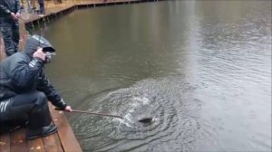 Дождь не повод отказываться от любимого занятия...Клёвое место, Лосиный остров, спорт-зона.