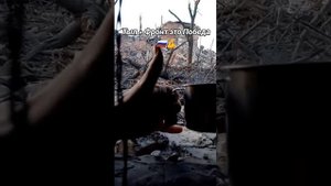 Осень в зоне СВО... @https://t.me/vmeste_my_sila_pulse