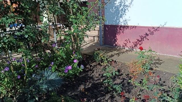 Дела делами, а прогулка в выходной нужна. 12.10.25.