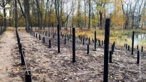 В Петропавловском парке начался монтаж новой смотровой площадки
