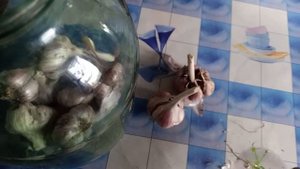 СПОСОБЫ СОХРАНИТЬ ЧЕСНОК ДО НОВОГО УРОЖАЯ.