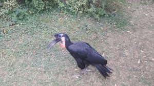 Когда ругаешься на несправедливость.