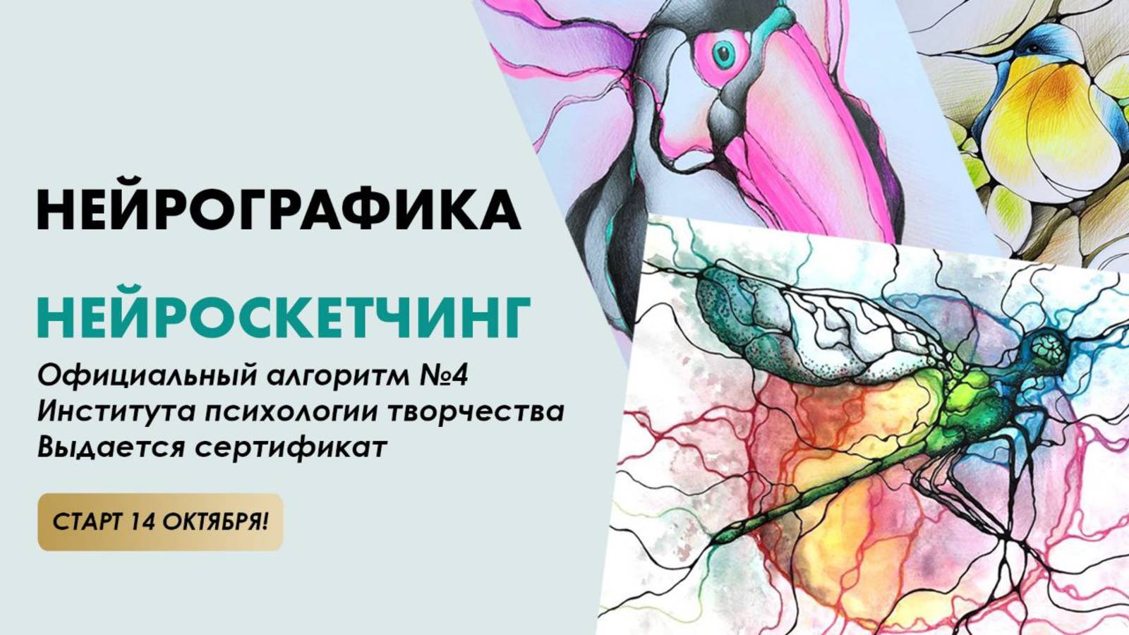 Нейрографика. 14 октября Алгоритм#4 