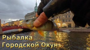 РЫБАЛКА ПО РЕКАМ И КАНАЛАМ ГОРОДА ОКУНЬ ОКТЯБРЬ ОСЕННИЕ ПРИМАНКИ НА ОКУНЯ ЦВЕТА И РАЗМЕРЫ ПРИМАНОК