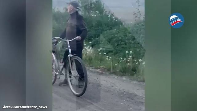 «У сестры оторвана рука, сломаны ребра»:  конь травмировал женщину в дачном кооперативе в Ленобласти
