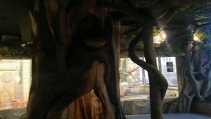 Школьные каникулы в Лазаревском Краснодарского края, 3. Пингвинарий 😉