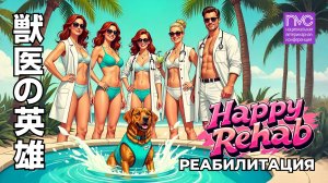 NVC 2025. Реабилитация