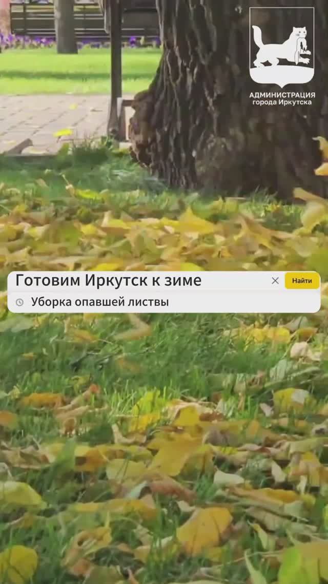 #Готовим_Иркутск к зиме. Уборка листьев. Иркутск