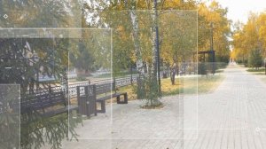 Папины советы