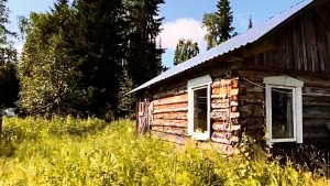 Таких окуней давно не ловил. Таёжная избушка.