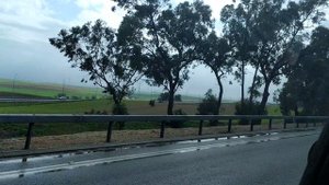 Выехали из Тель-Авива в сторону Эйлата!