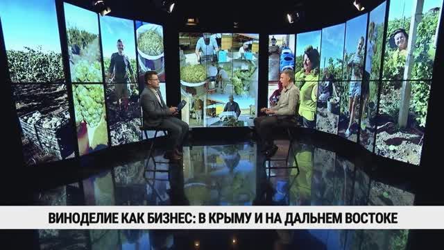 Виноделие как бизнес: в Крыму и на Дальнем Востоке / Андрей Нечаев