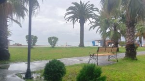 Едем в Абхазию 11 октября 2025. Гагра, первый день.Дождь.