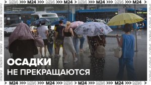Около четверти месячной нормы осадков выпадет в Москве в течение дня - Москва 24