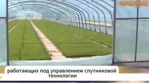 Автоматизированное рисоводство в Китае: автоматизация — это будущее!