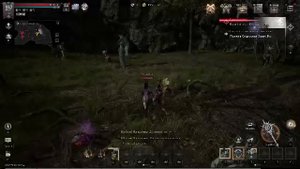 Raven 2 MMORPG