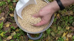 Насадка для измельчения зерна на измельчитель "Дачный"