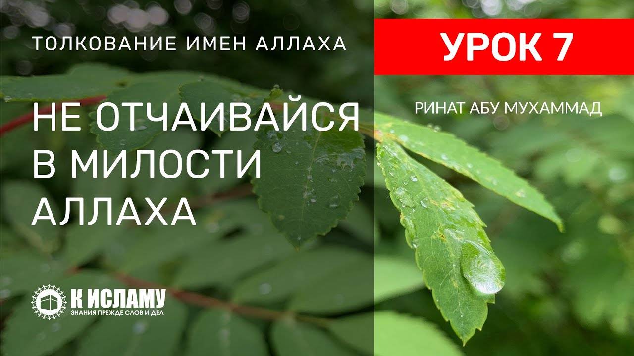 7) Не отчаивайтесь в милости Аллаха | Ринат Абу Мухаммад смотреть онлайн
